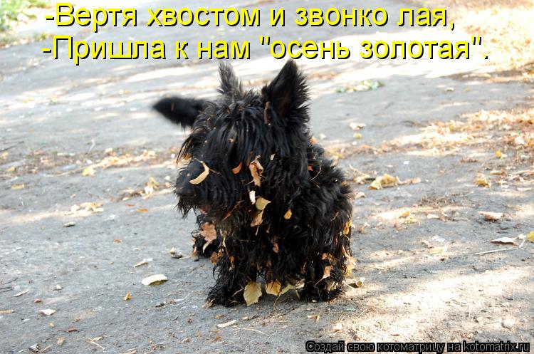 http://filed7-14.my.mail.ru/pic?url=http%3A%2F%2Fkotomatrix.ru%2Fimages%2Flolz%2F2010%2F07%2F14%2F629230.jpg&amp;mw=&amp;mh=&amp;sig=a39823aa7a751a947f15ffd42f135cbf