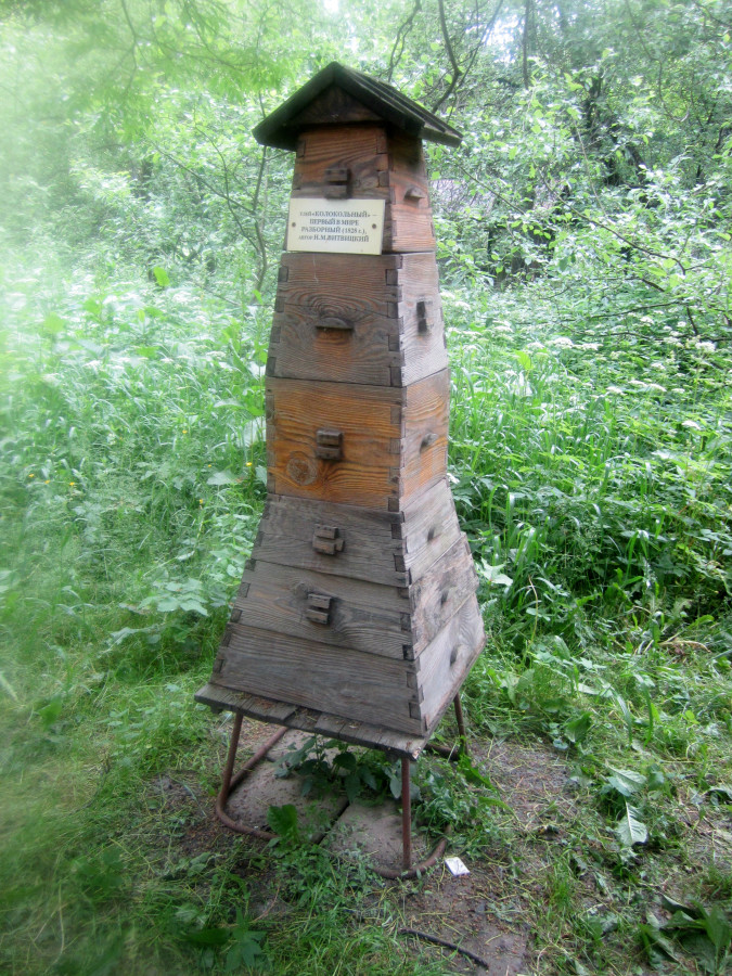 пас26.jpg